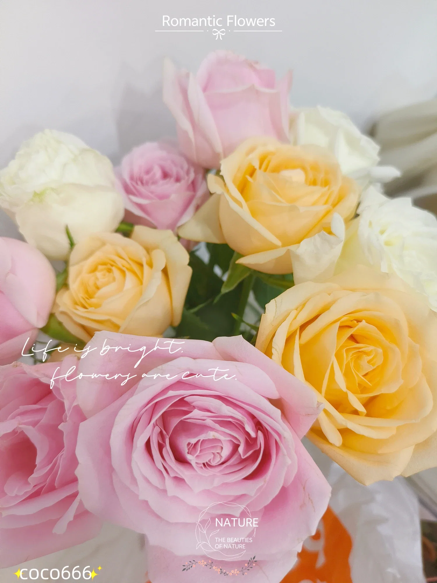 ZfhXZuP6OHt6X0vT_MEITU_20250905_193732874_batch_2_1757072351594.webp