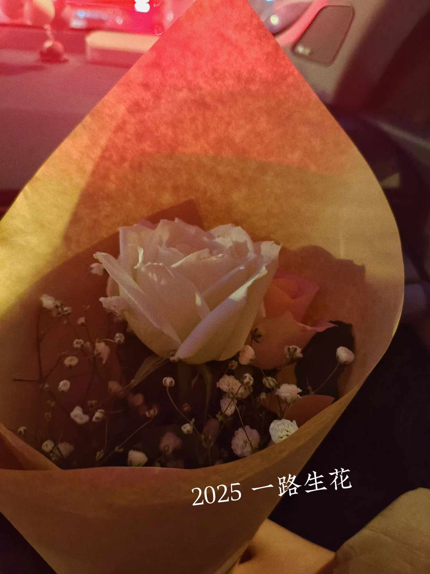 gdlBgWqy9dyS0r9h_MEITU_20241231_225236123.webp