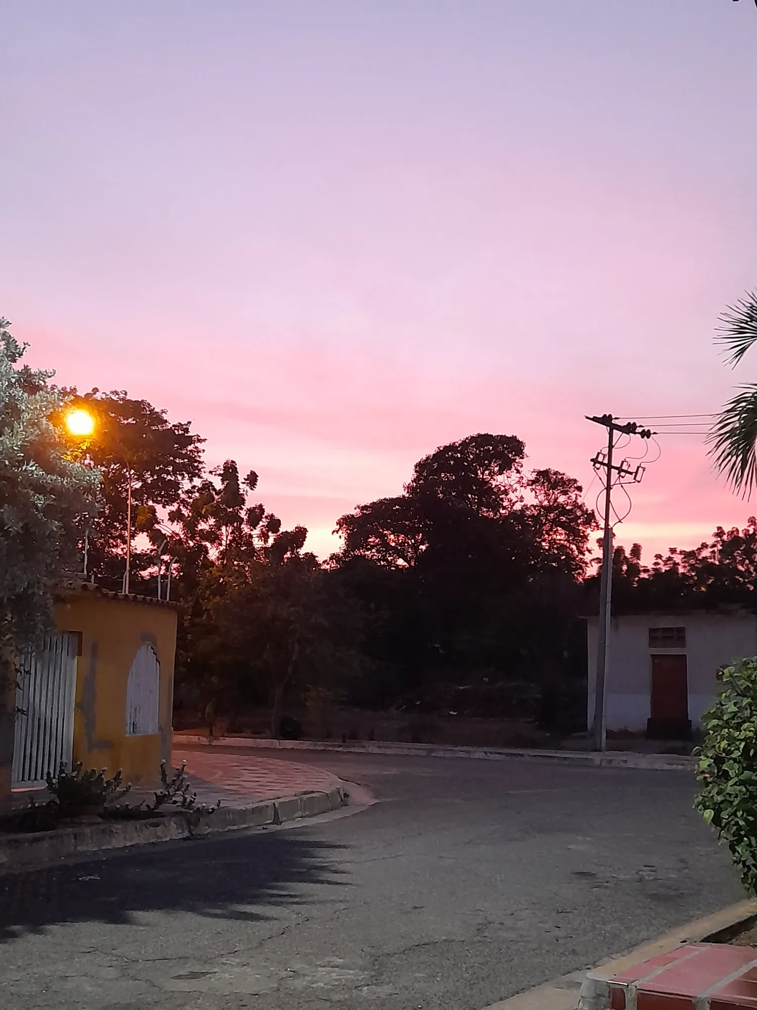 MDgeHYhow1SHjF1n_20250318_060837.webp