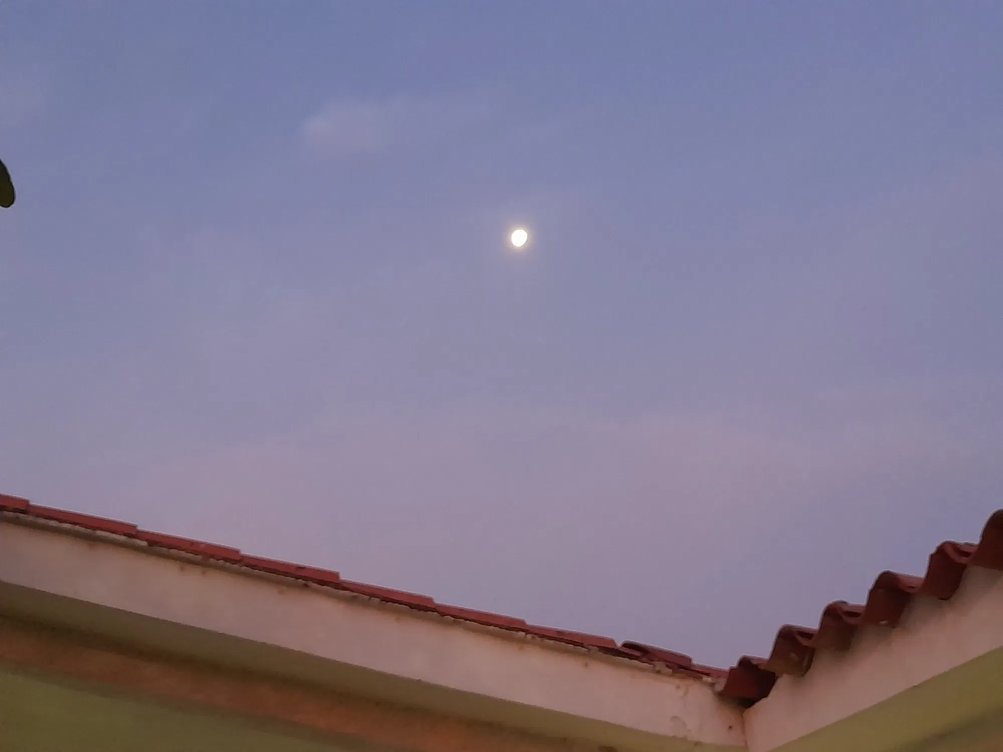 pxrVruMcA1kM8enh_20250318_060816.webp