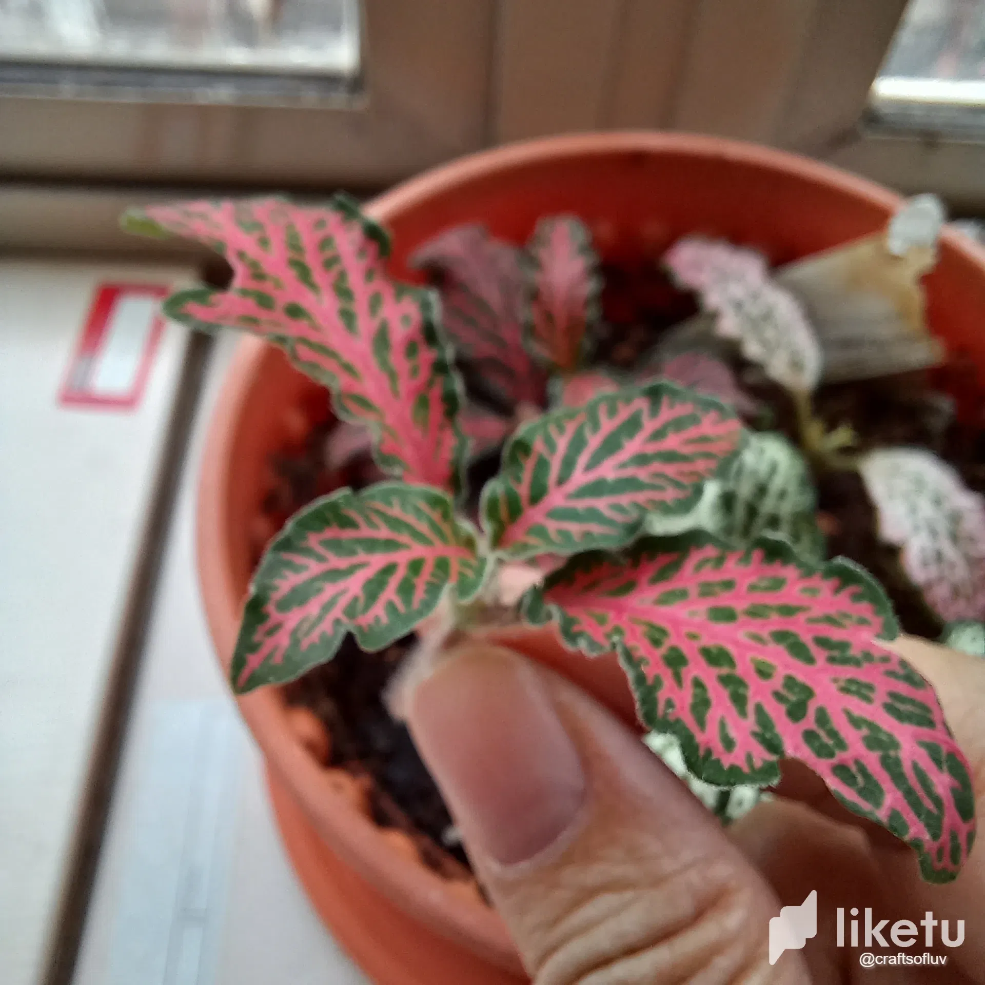 clv3qm1iv000d0hsz4f5v5sfe_20240417_100855.webp