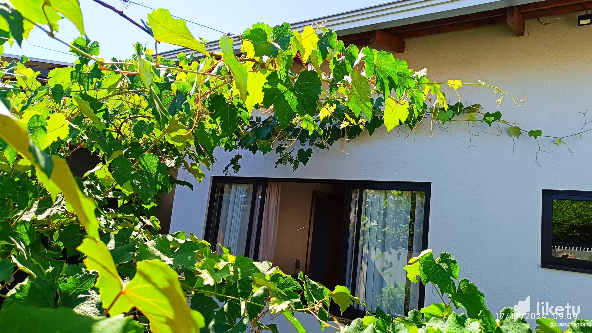 EN-PT Harvest time is approaching