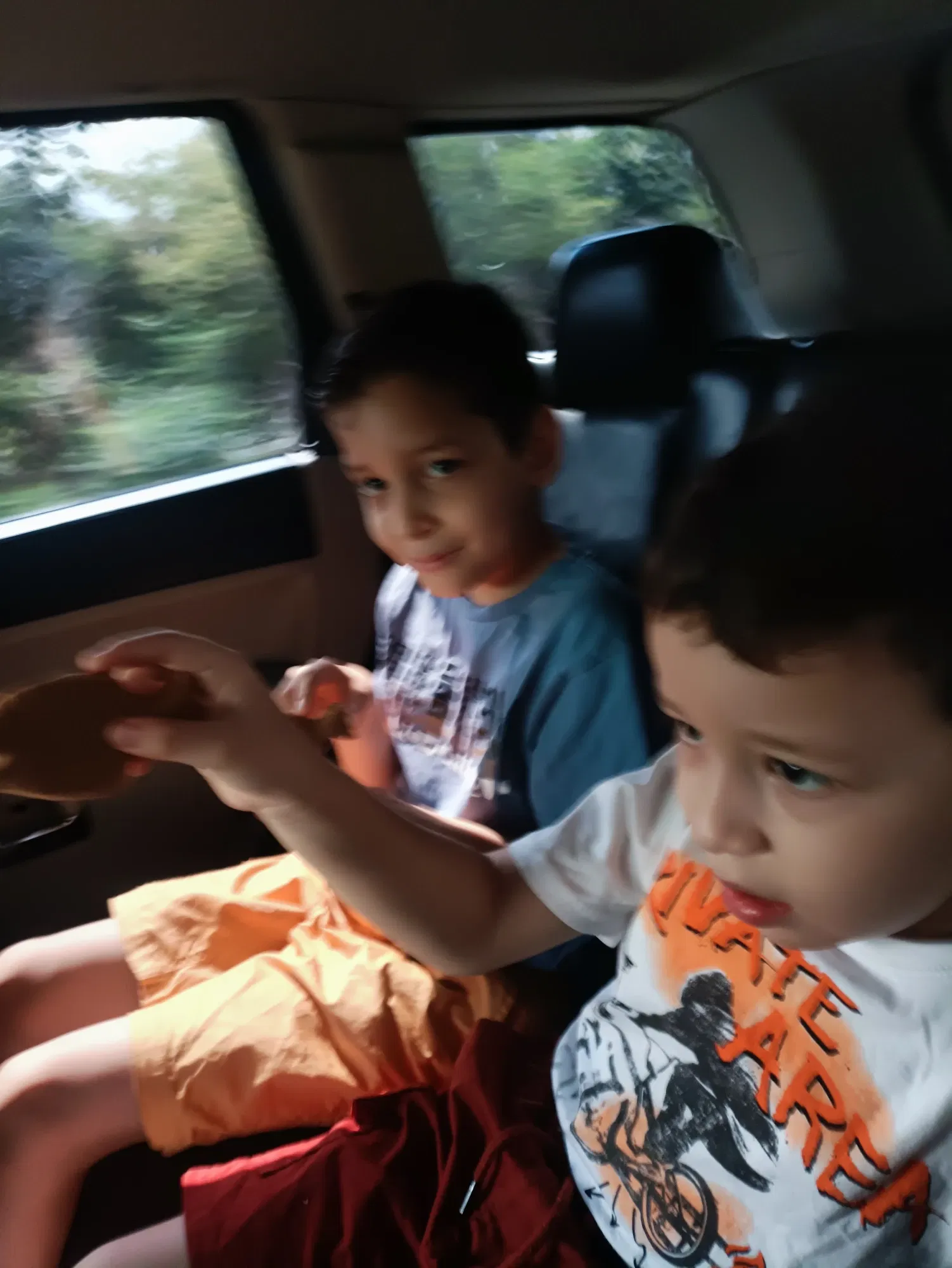 eIMfdytAZQbY6Qre_IMG_20250316_153106.webp
