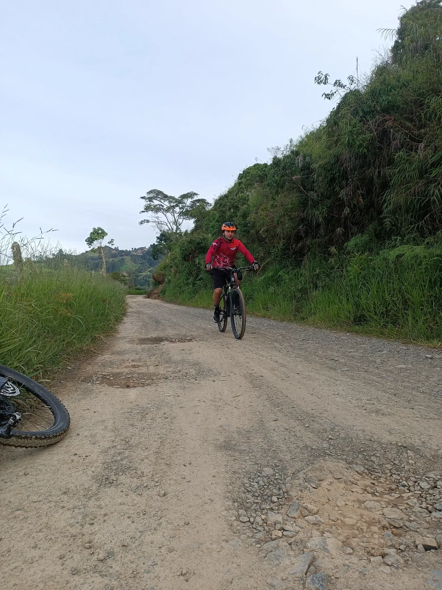 8lVjCal85FUD4THH_1000196320.webp