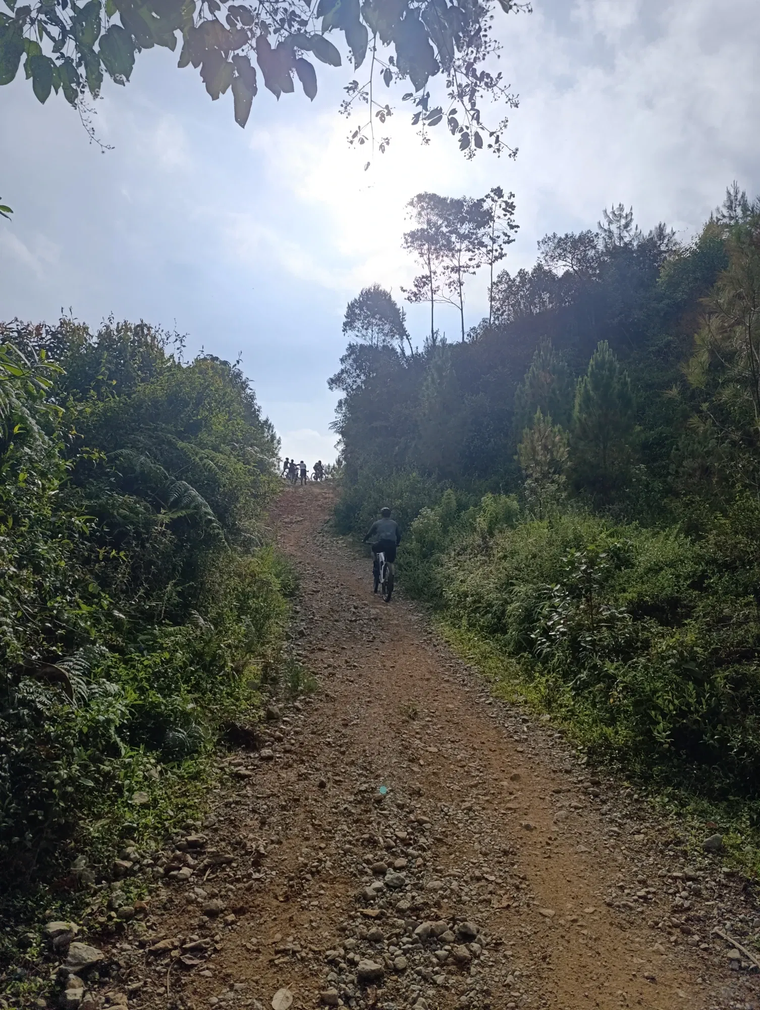 p2XRXbnAzodqJjmM_1000321737.webp