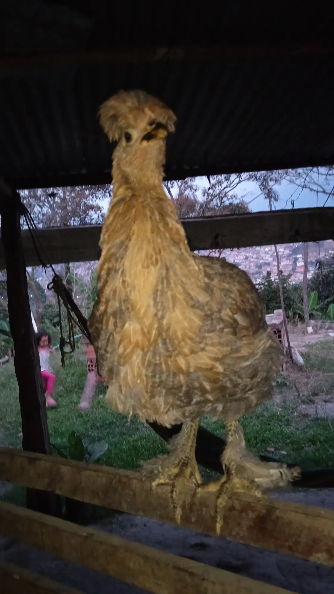 idAXqOgq7R3avCfp_IMG_20250302_190446.webp