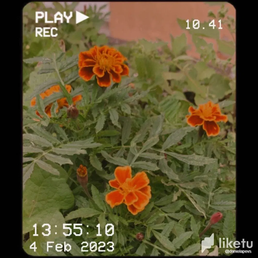 cldq99vho00gp67sz0wwidmz8_WhatsApp_Image_2023-02-04_at_15.36.37.webp