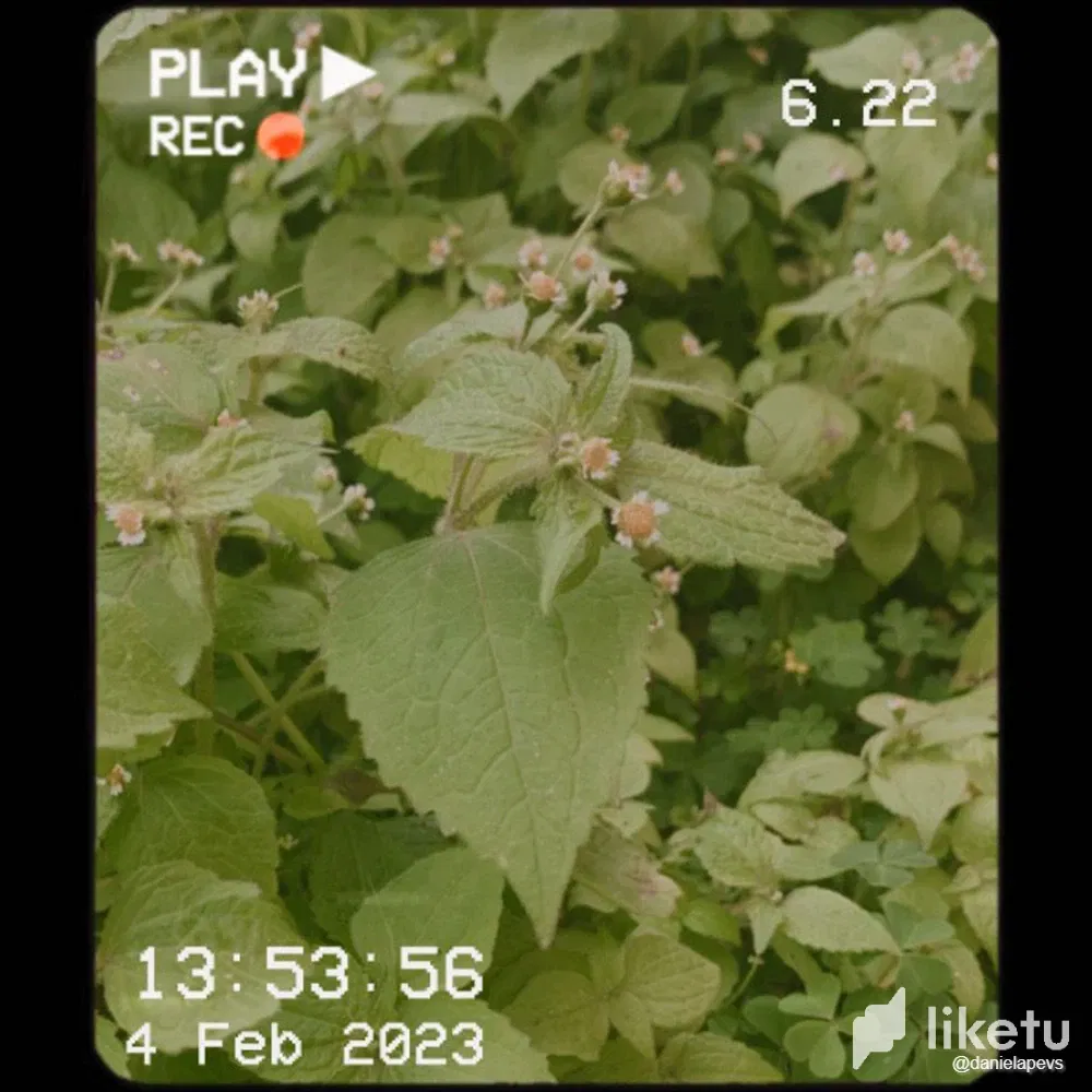 cldq99y9100hl3ksz0g53933j_WhatsApp_Image_2023-02-04_at_15.36.36.webp
