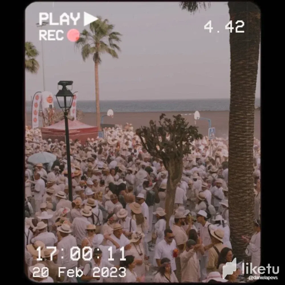 cleelfef2015f0psz0o396dws_WhatsApp_Image_2023-02-21_at_18.42.27.webp