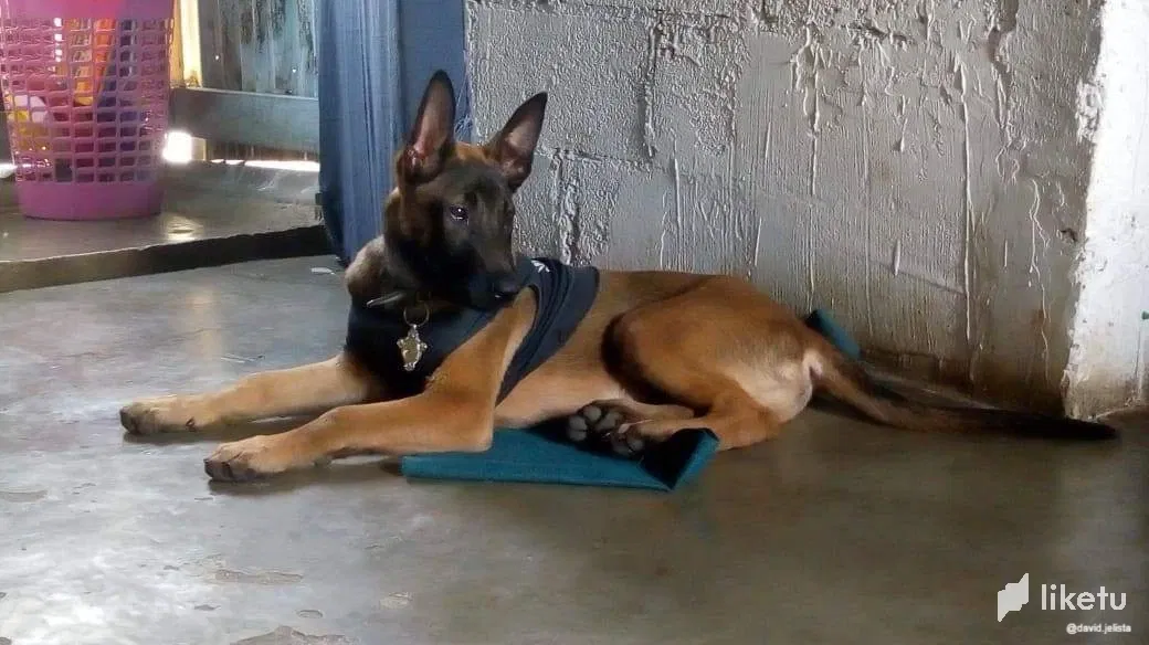 Kuno (English/Español)