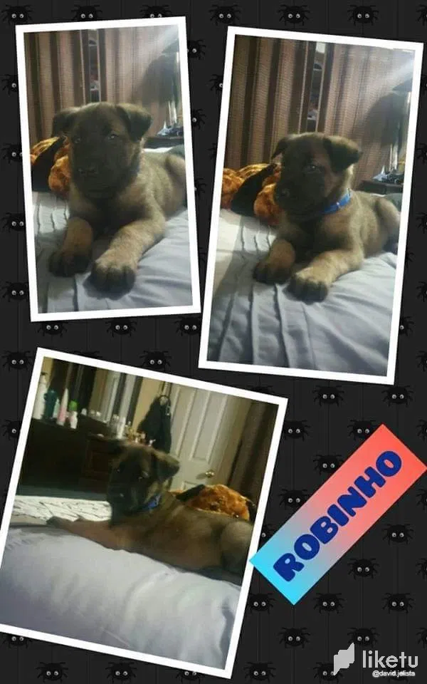 Kuno (English/Español)