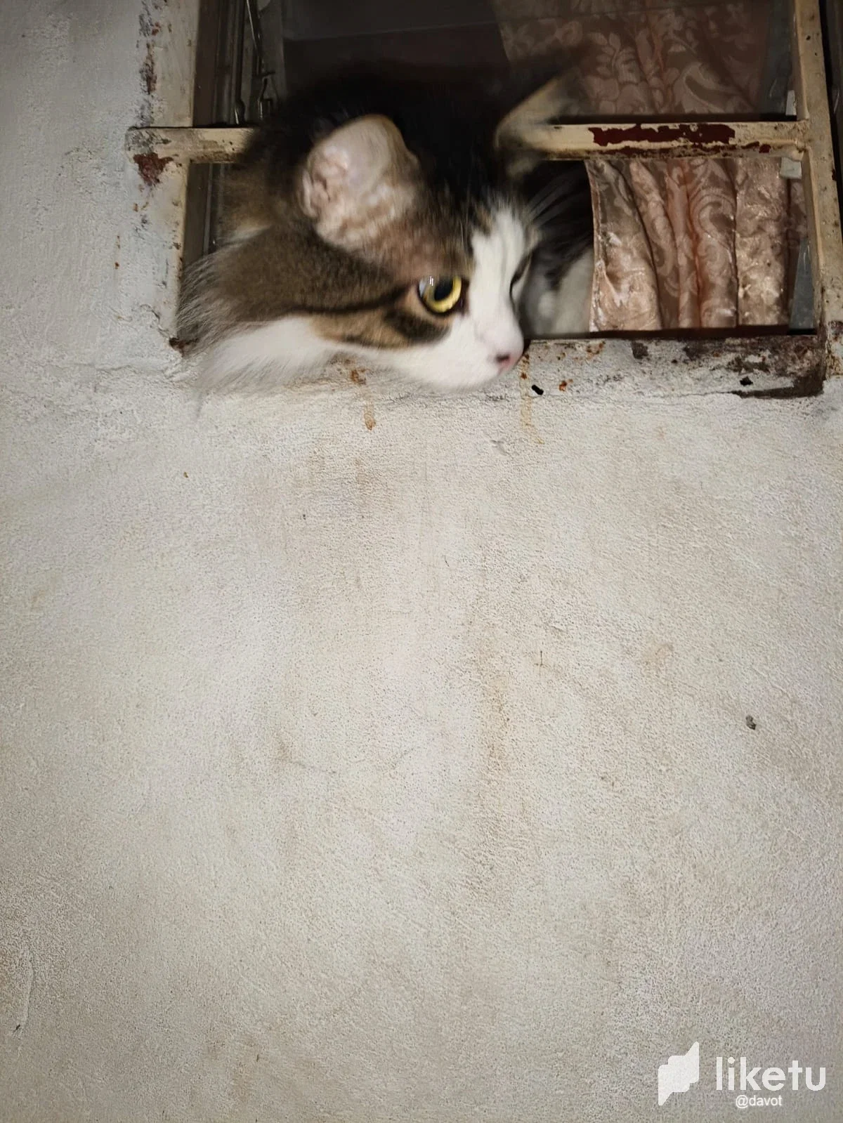 OerQACmHj8ydUMwV_WhatsApp_Image_2026-02-21_at_9.13.38_AM2.webp