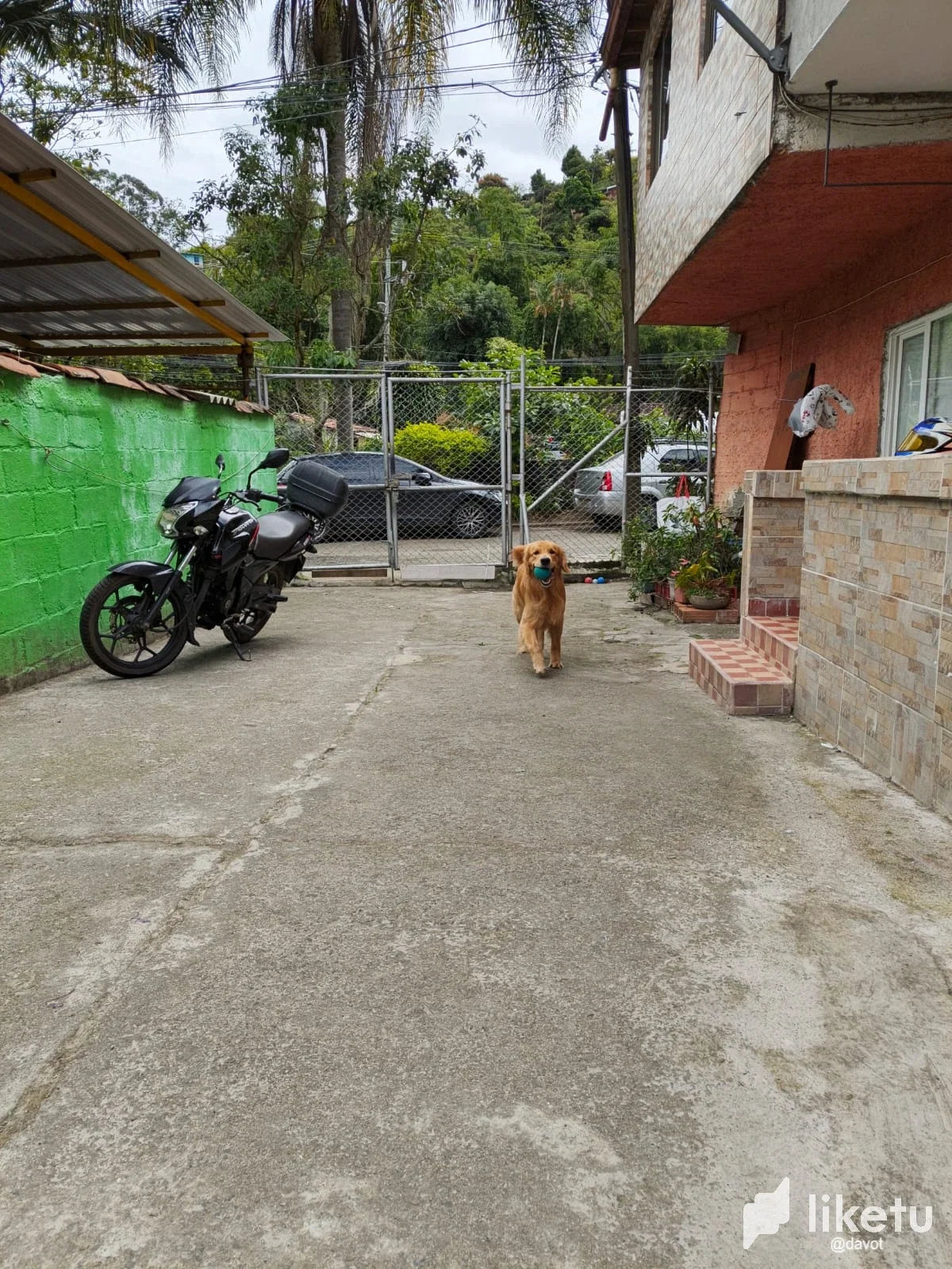 PFC9PeELOmsRRq31_WhatsApp_Image_2026-03-20_at_9.11.08_AM5.webp