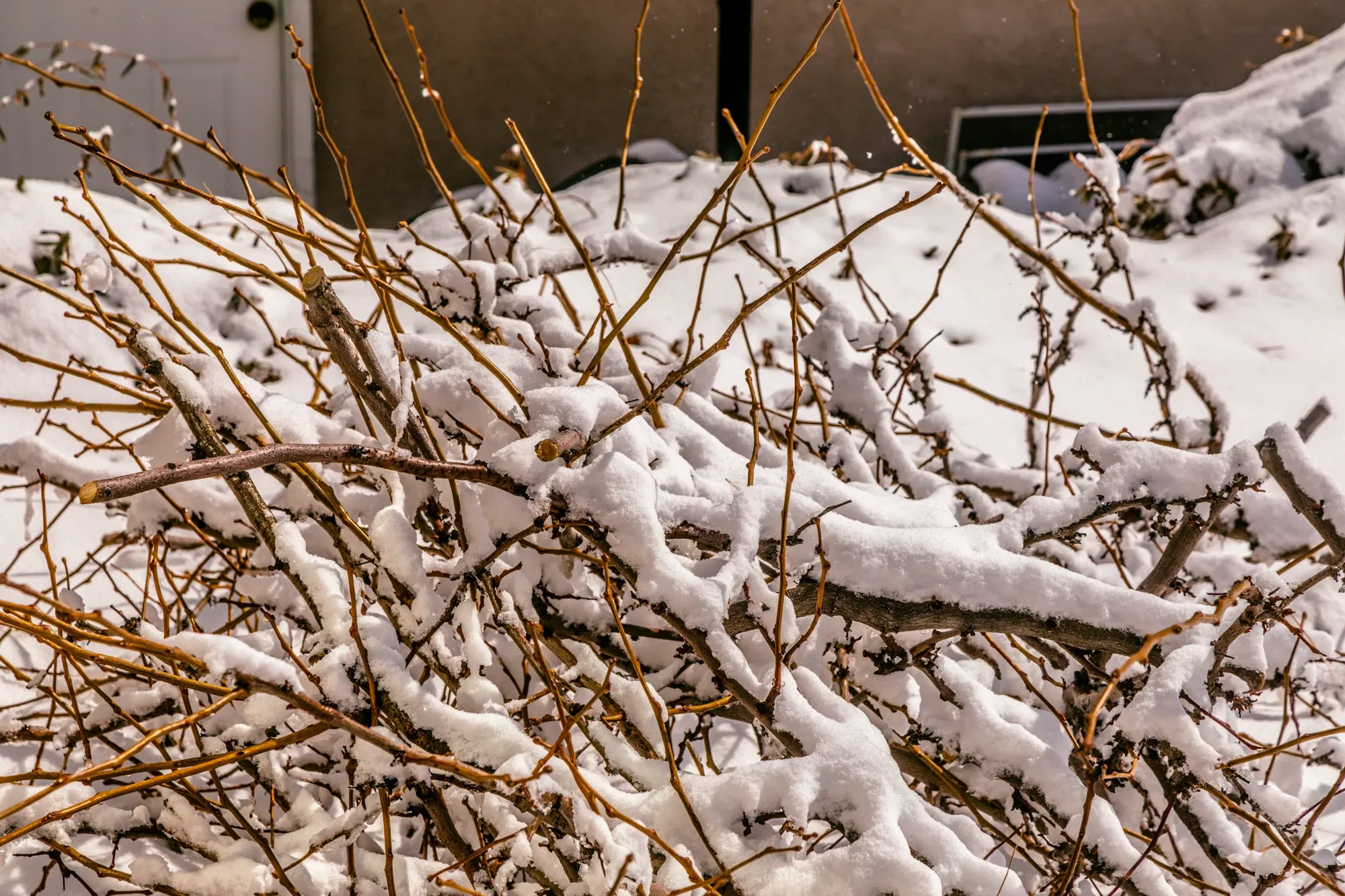 clfstgo3m002h2gszegf998lv_snow-3643.webp