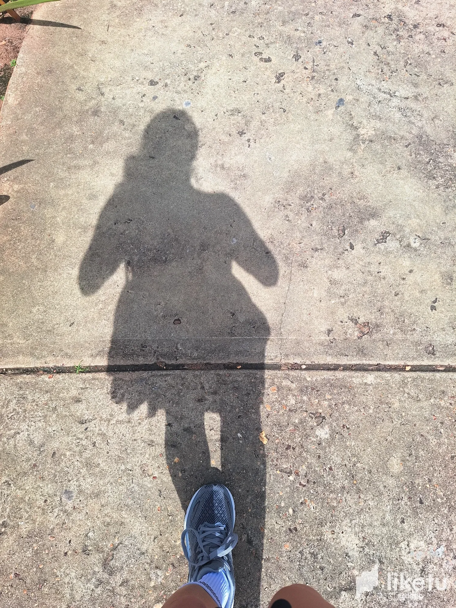 S4NWnupCvh0VGbWG_20250819_094201.webp