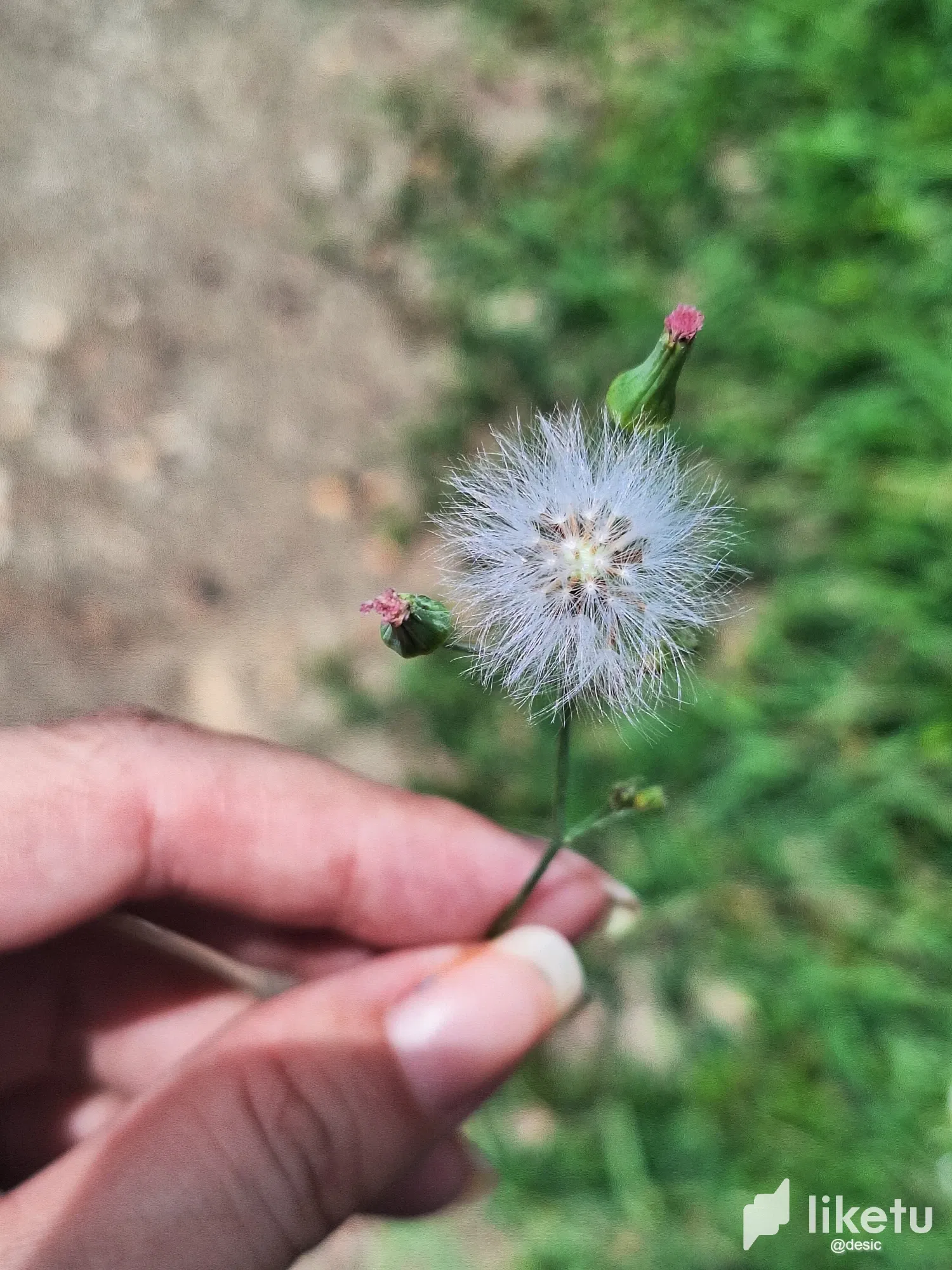 tZgccBZB02tb62Wm_20250820_113904.webp
