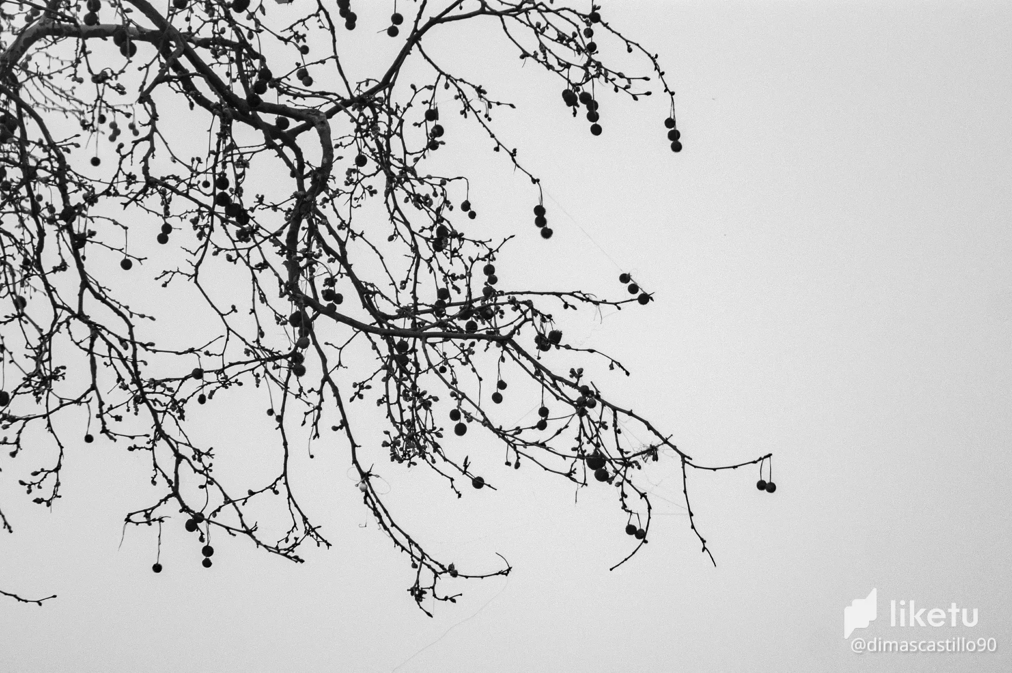 cl7dq500q011h0hm7a573gf8v_DSC05731.webp