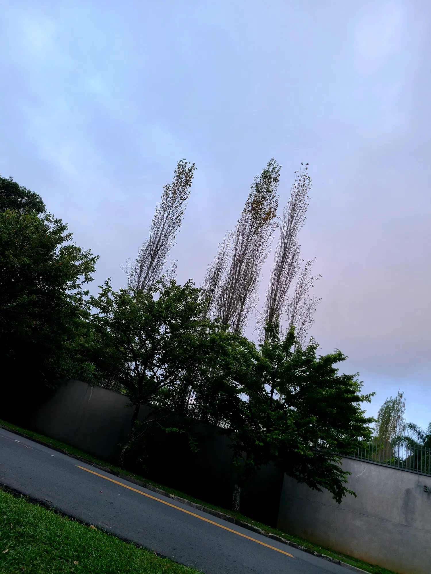 3r8zNmvAapTz7pKJ_20241230_185605.jpg