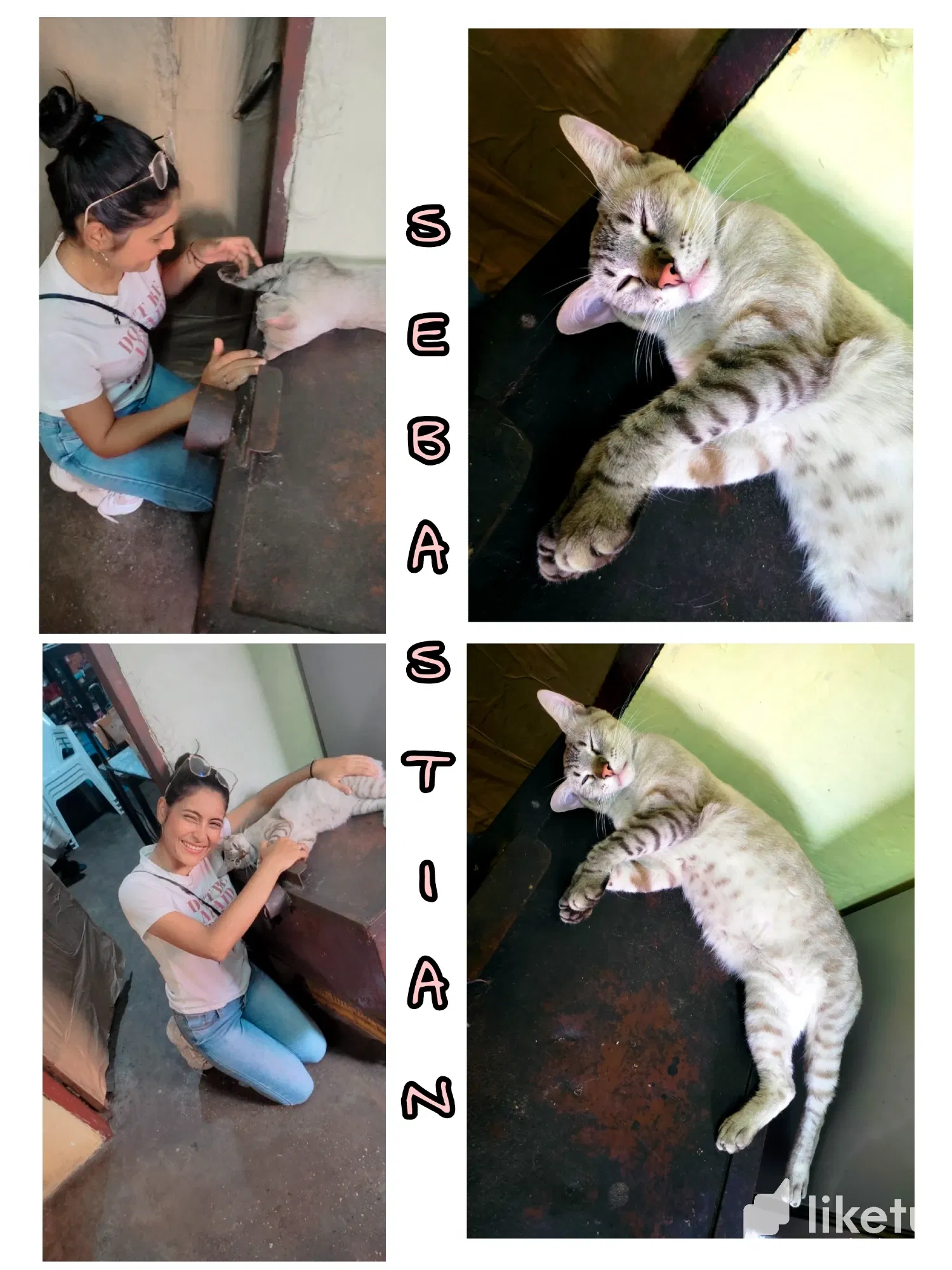 clg1d9ptg00ob1nszf57v2vn7_Picsart_23-04-03_16-45-06-818.webp