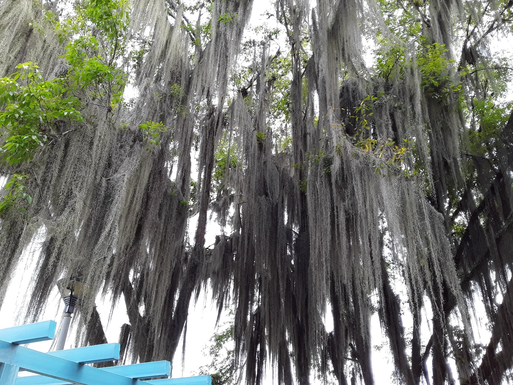 a3RgqsB20gl8Ixey_20250511_164045.webp