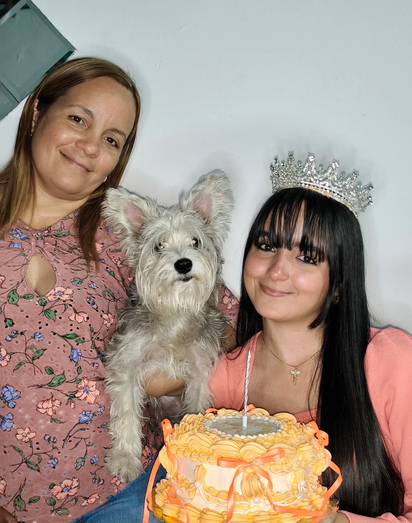 bnoGMIv427YImINc_1000000195.webp