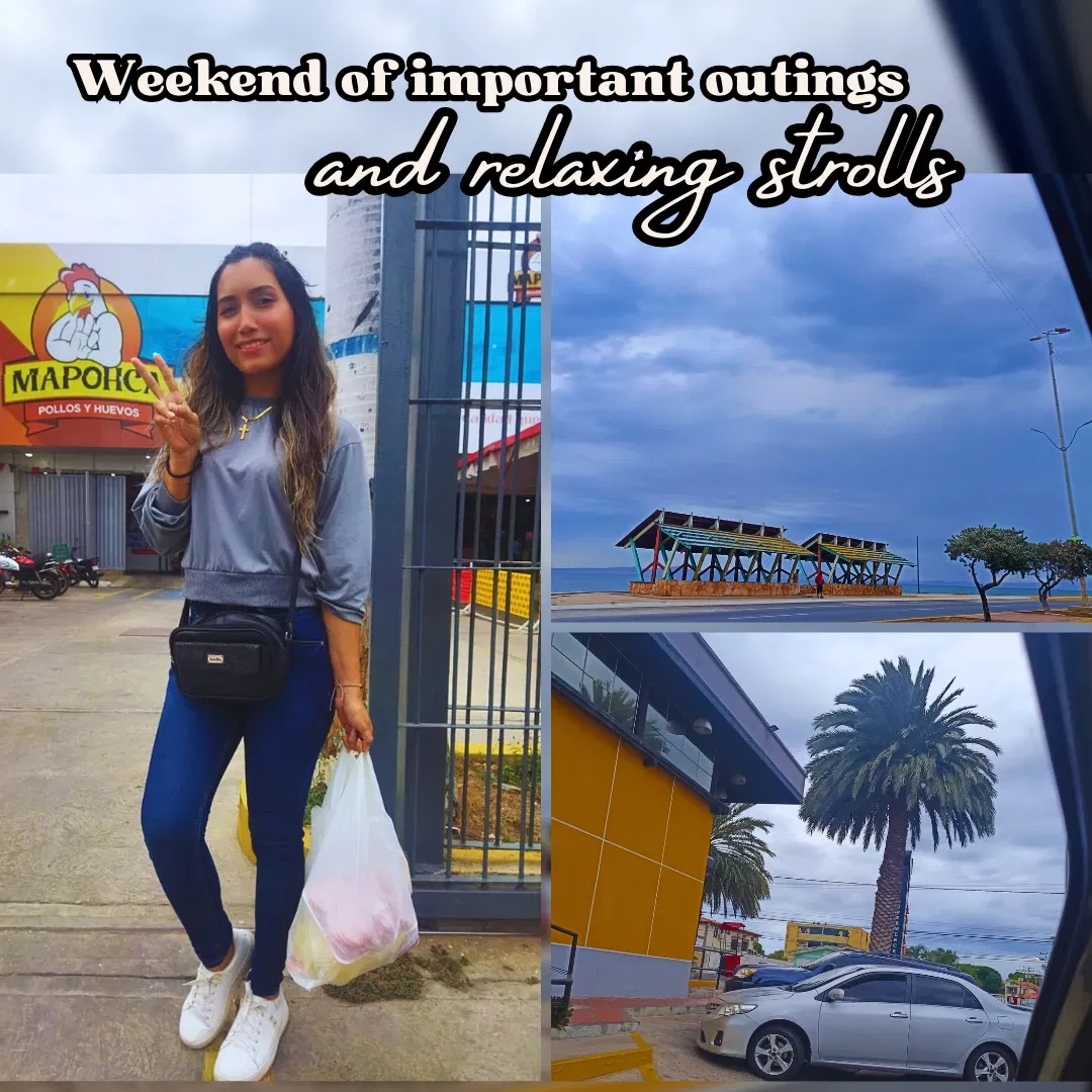 PpTantkk29zLdUYM_2_20250317_002524_0001.webp/