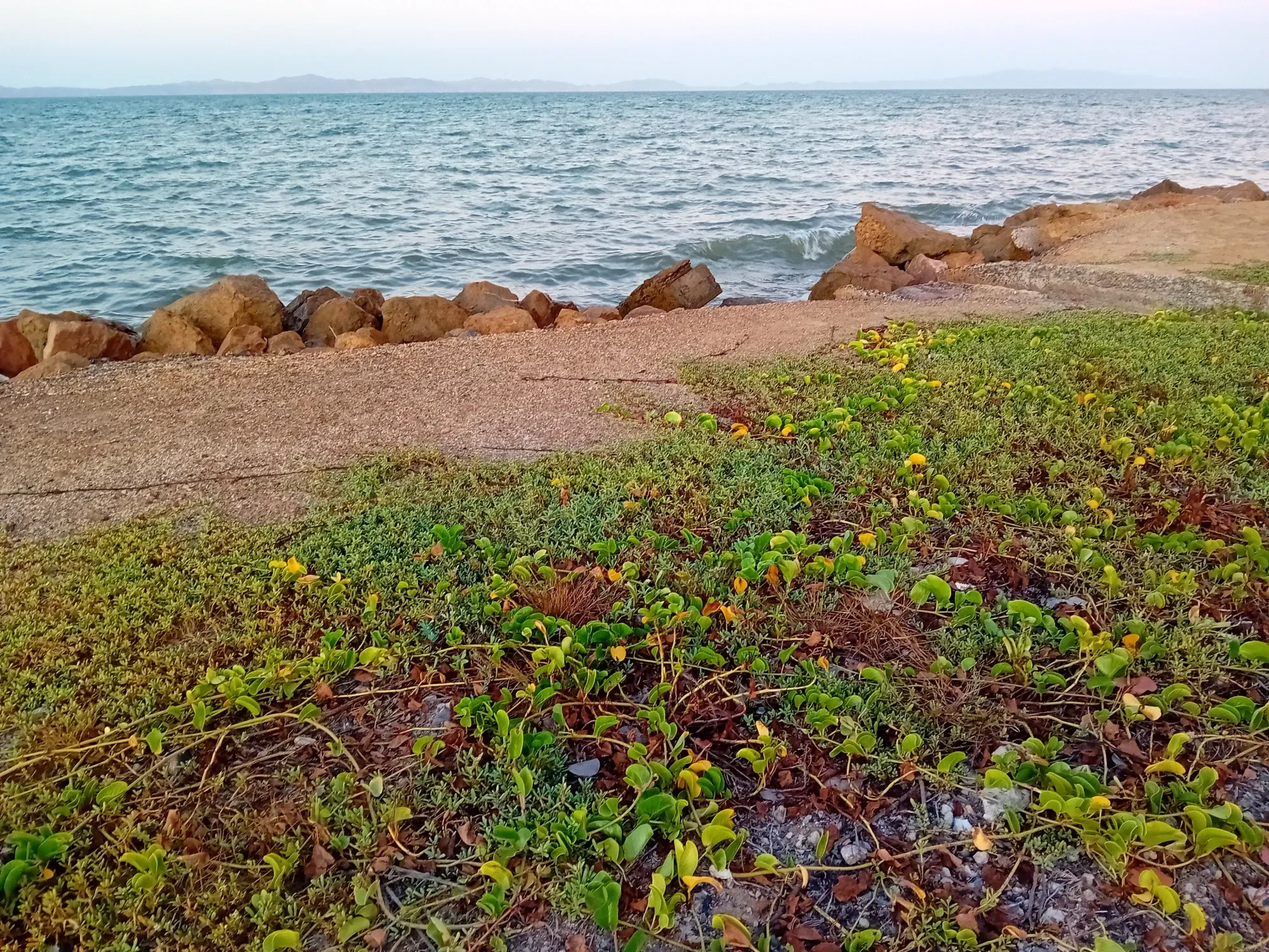S7oIkDTxYv8W7RWI_20241029_175514.webp
