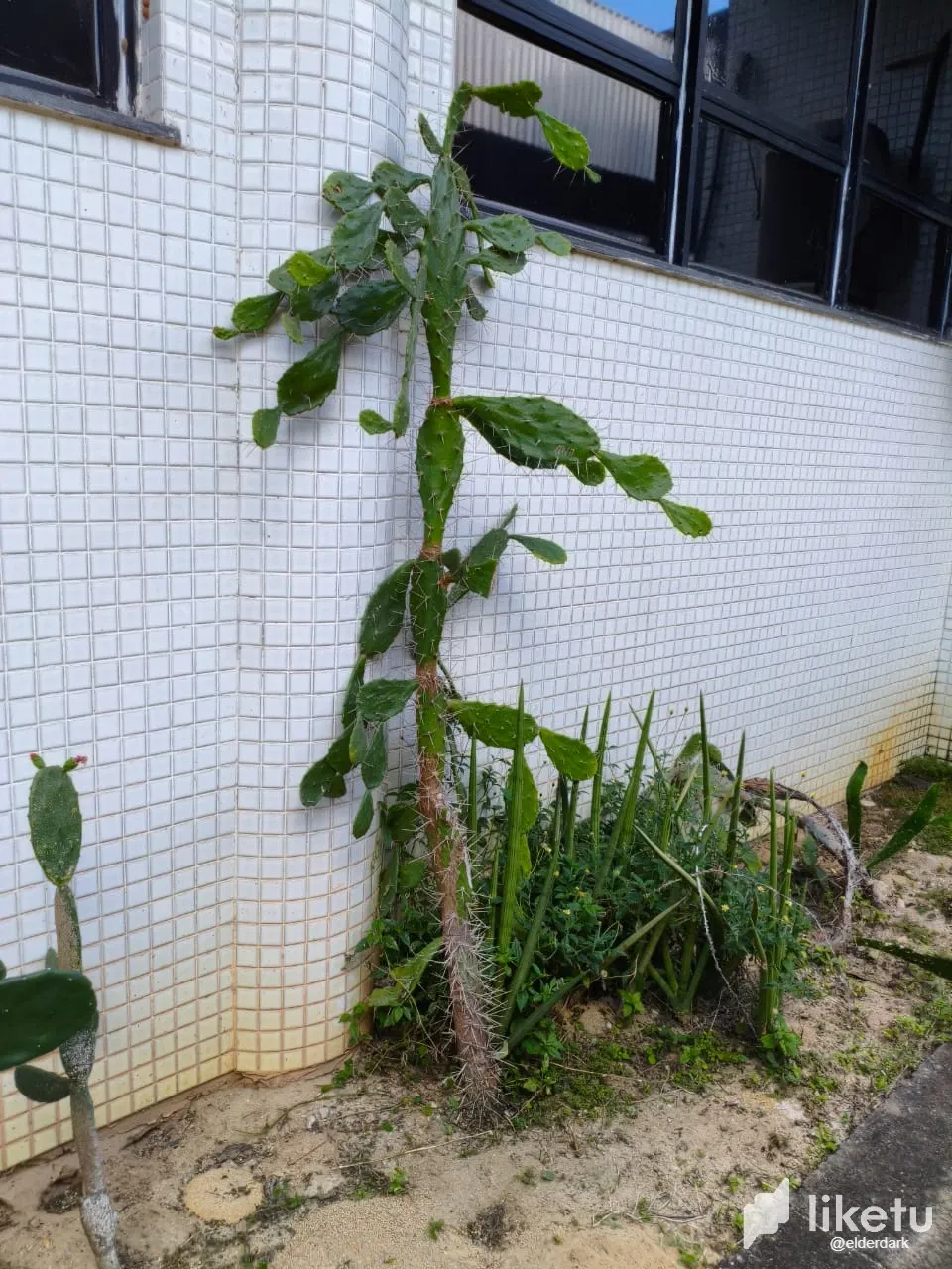 x91JAaE5Sj1gVzqi_2.webp