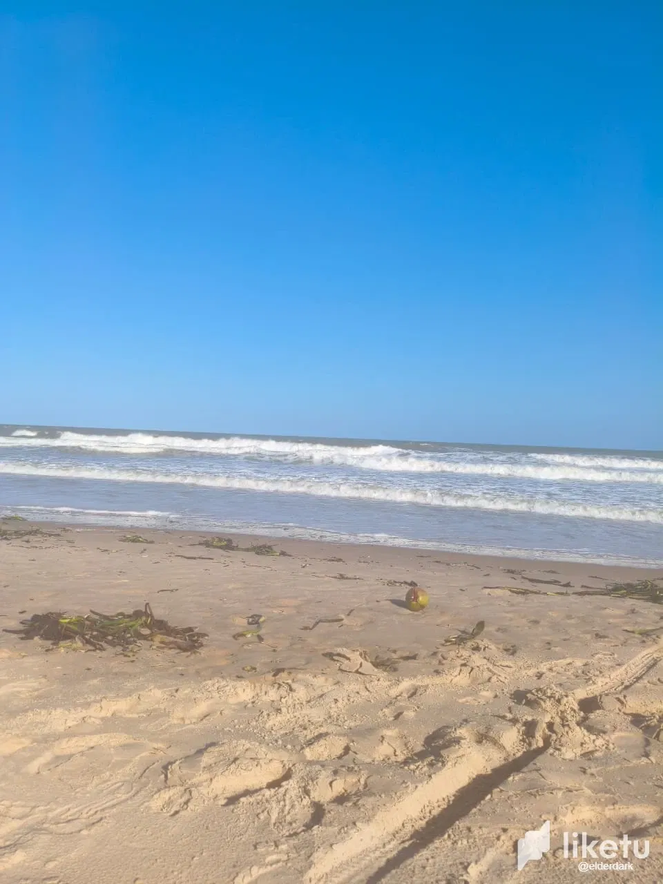 xl84FFhVBncHUuuo_6.webp