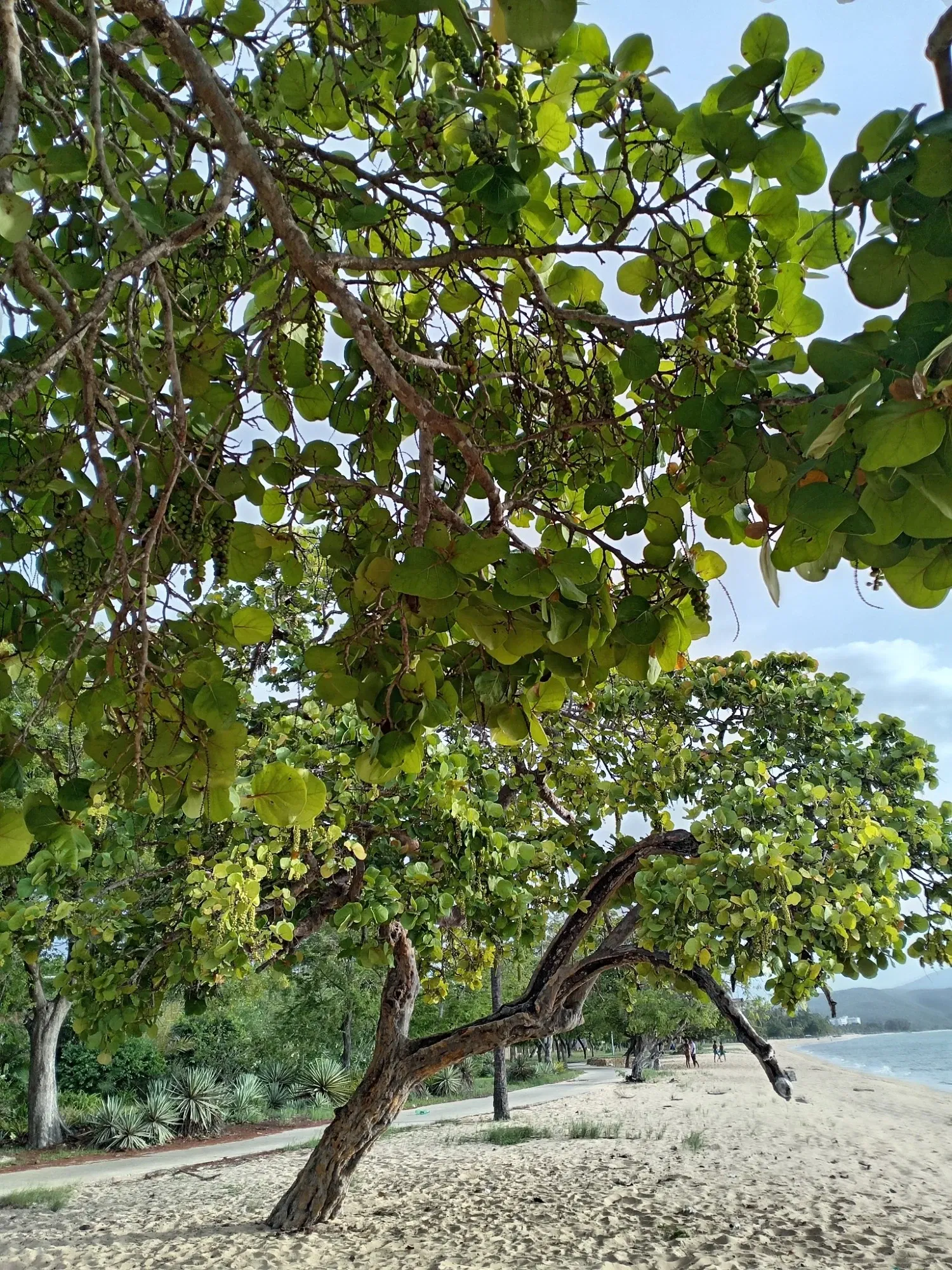 sVdcHvW90bfNFexb_IMG_20250627_211128_643.webp