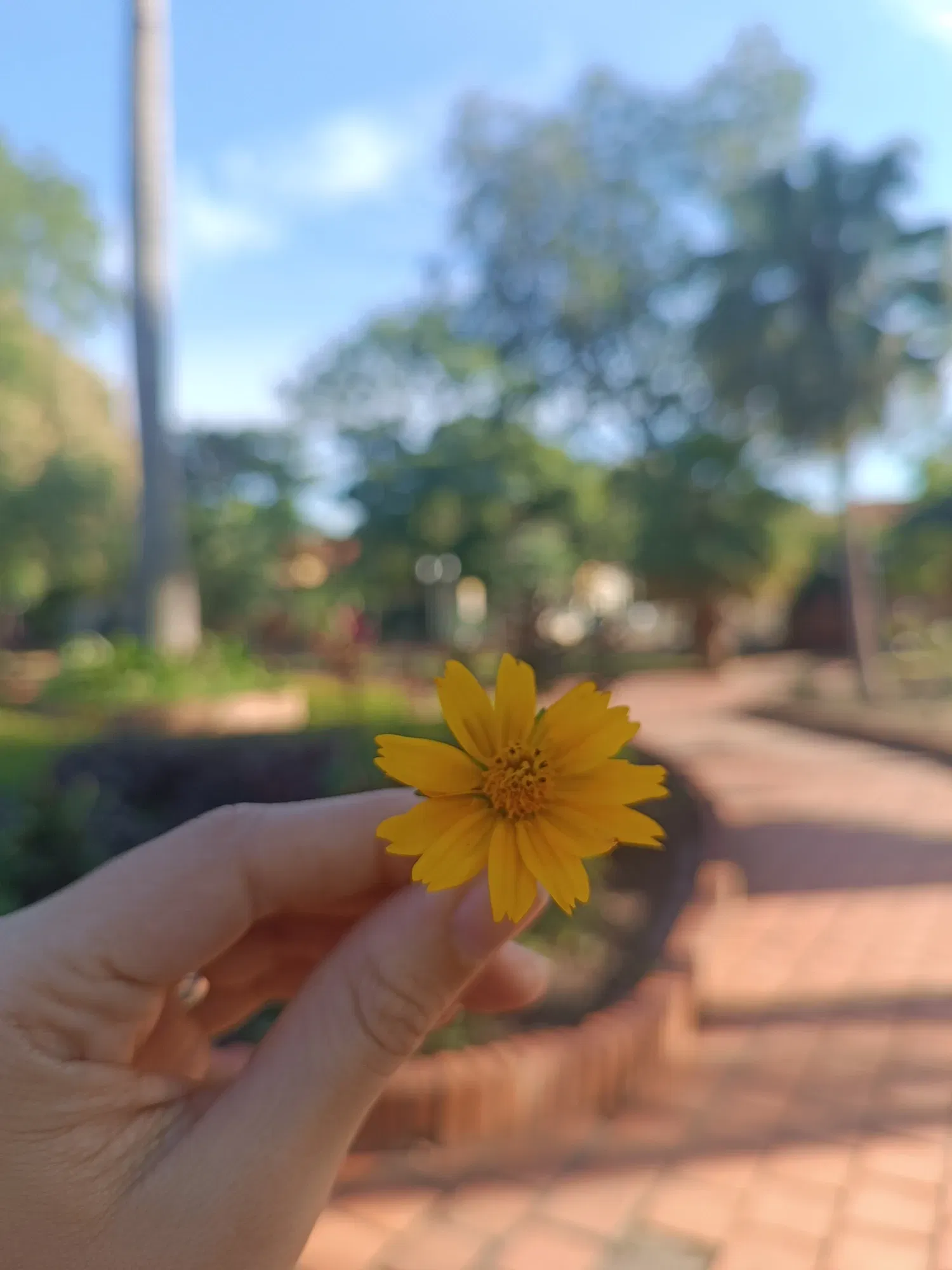 1oewQ4Sec67WvEZW_1000788038.webp