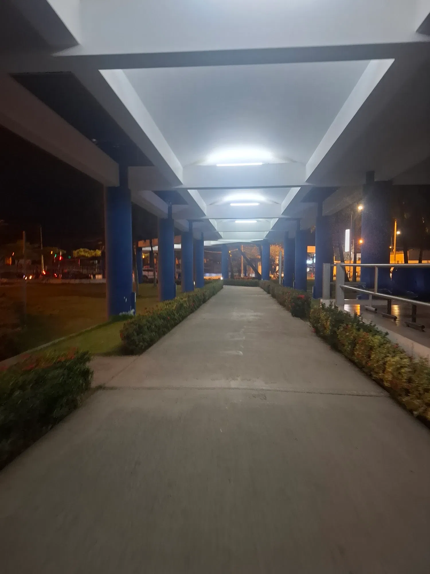 81T60oijcomAhwfu_1000345220.webp