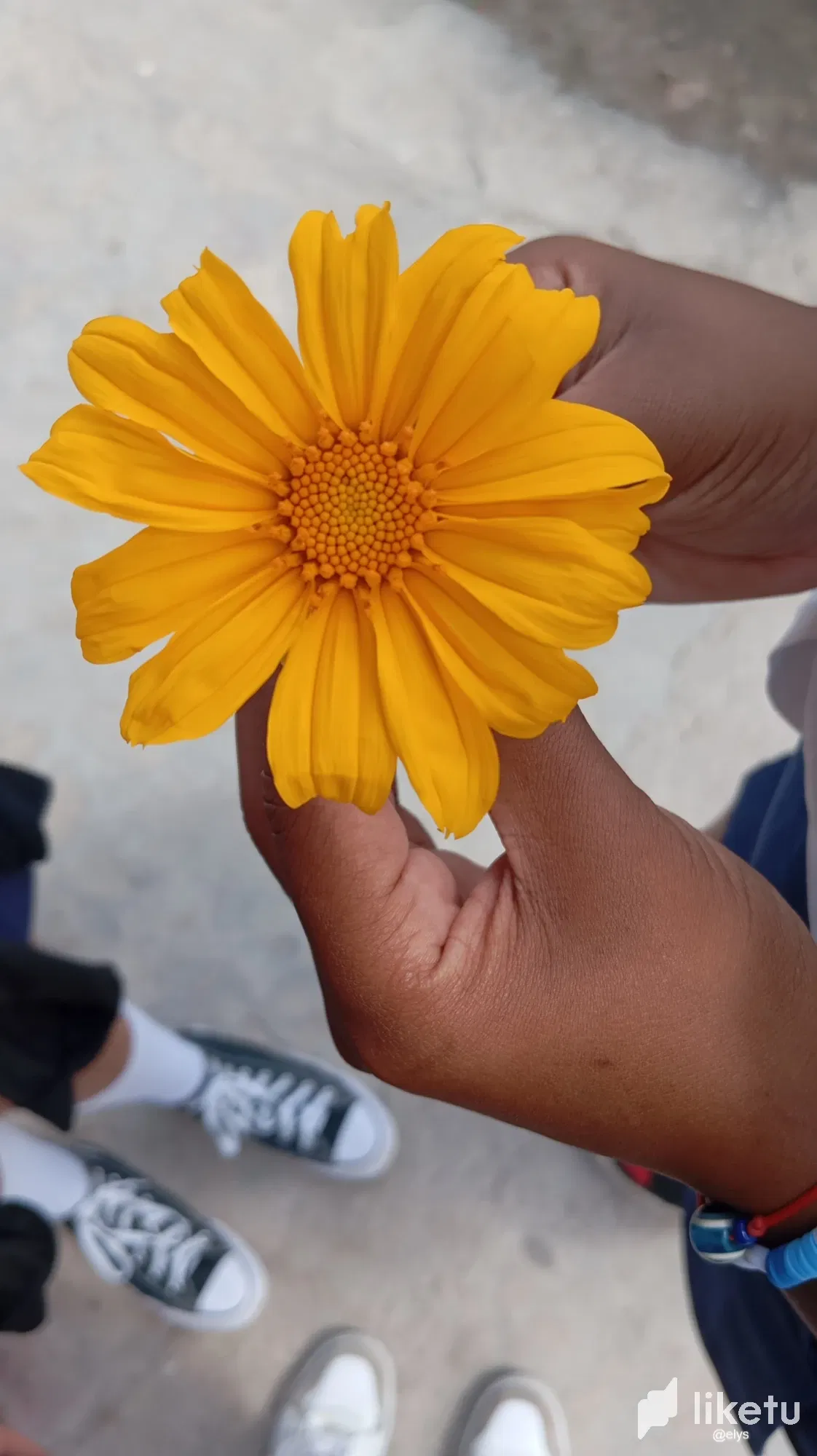 bISGxkaOuetMOs1t_3.webp