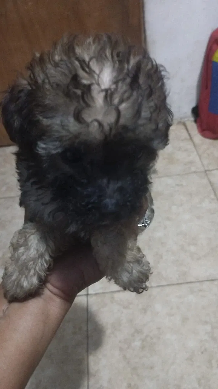BaVsgNr8eOrX5YjH_2807.webp
