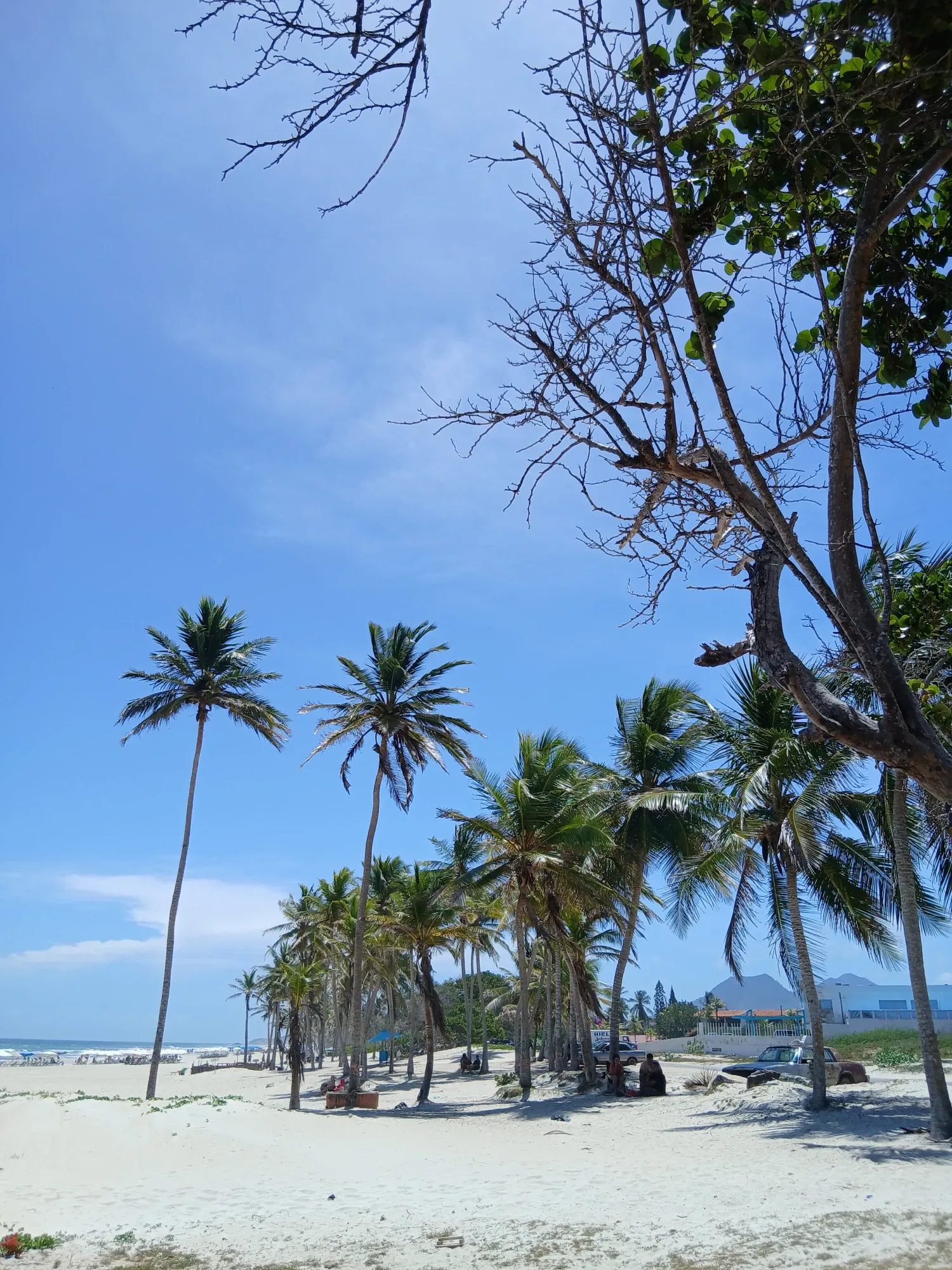 NolYIxvVVc2bJN1r_32477.webp