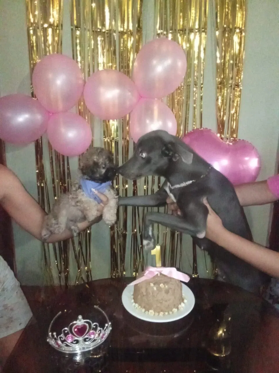 r0Lnytk03IYOJIKj_26252.webp