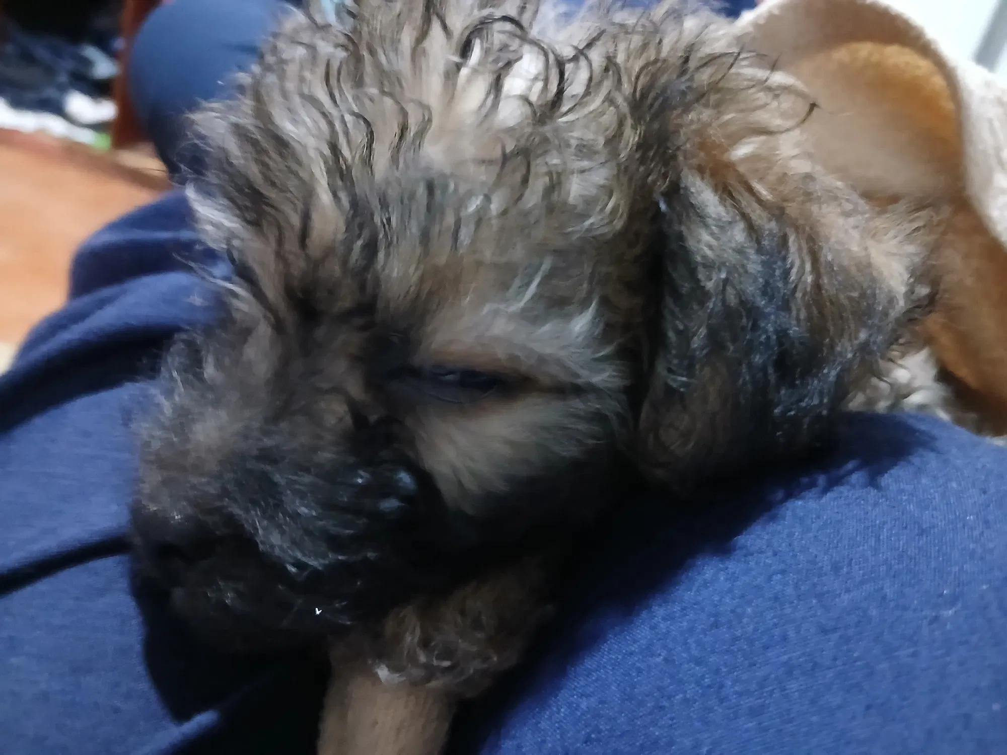 z6Mq1AzAnFCmwfTm_26095.webp