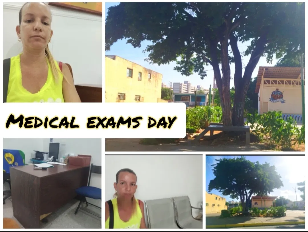AWFXZWvYTR8HQjbk_1000065404.webp