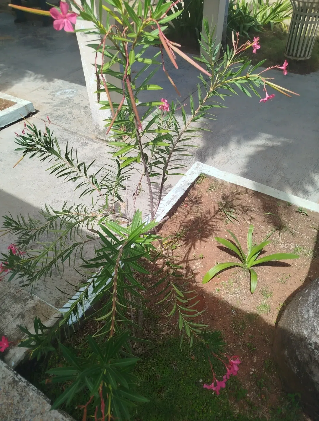 EcNu8Fhp9eCz8aWJ_1000100302.webp
