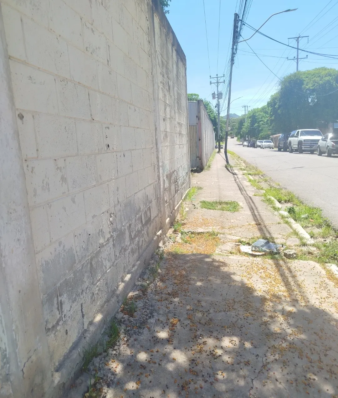 paXhCqK0UKHyEQ8w_1000100301.webp