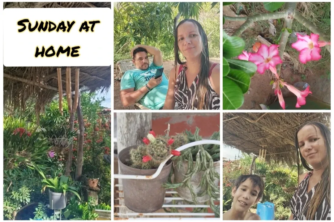 s98SuvuT4VFKXw8J_1000083870.webp