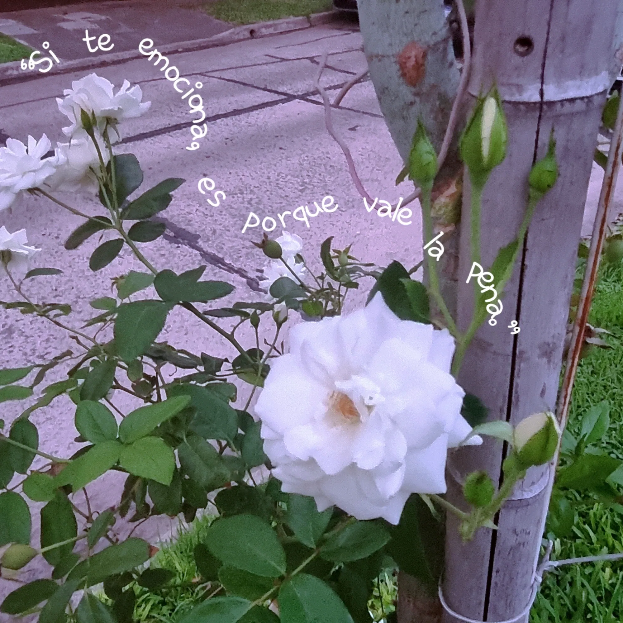 EoVqAT16vqMn0lK1_MEITU_20250226_201353944.webp