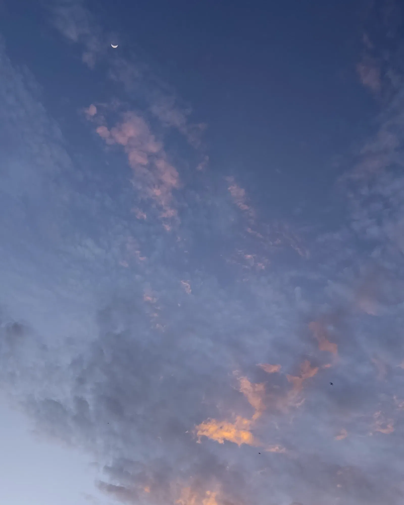 X5bZ0U9dl6FoEX3k_InShot_20250729_234440510.webp
