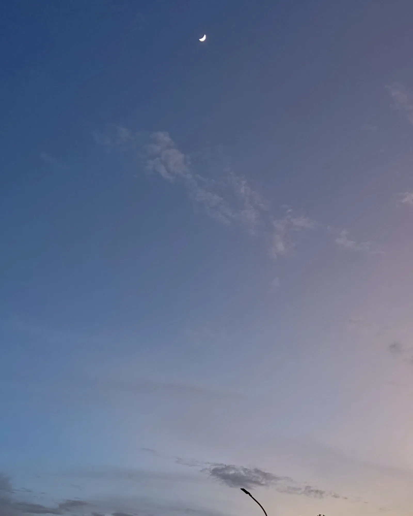 r9P8Yy8FLVRVCrRc_InShot_20250729_234619344.webp