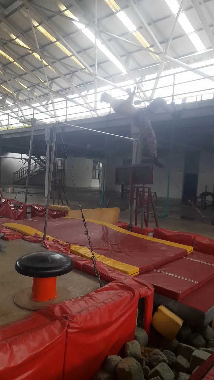 2RLdFXE9FlULuCoe_VideoCapture_20250823-232612.webp