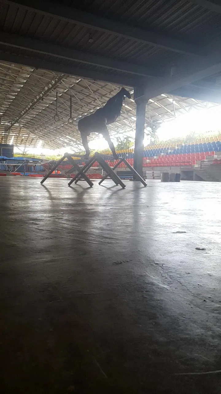 9Q71iqnO4yPJoyRF_VideoCapture_20250906-225215.webp
