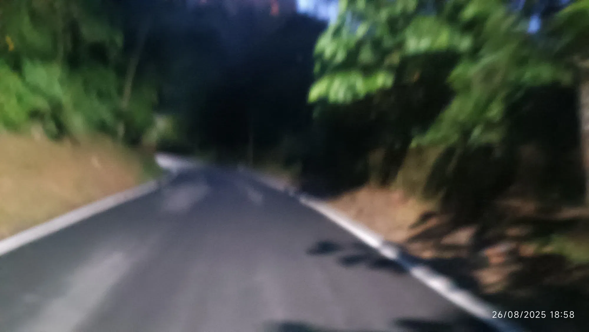 zIl6S0T2QetqkUHB_1002226458.webp