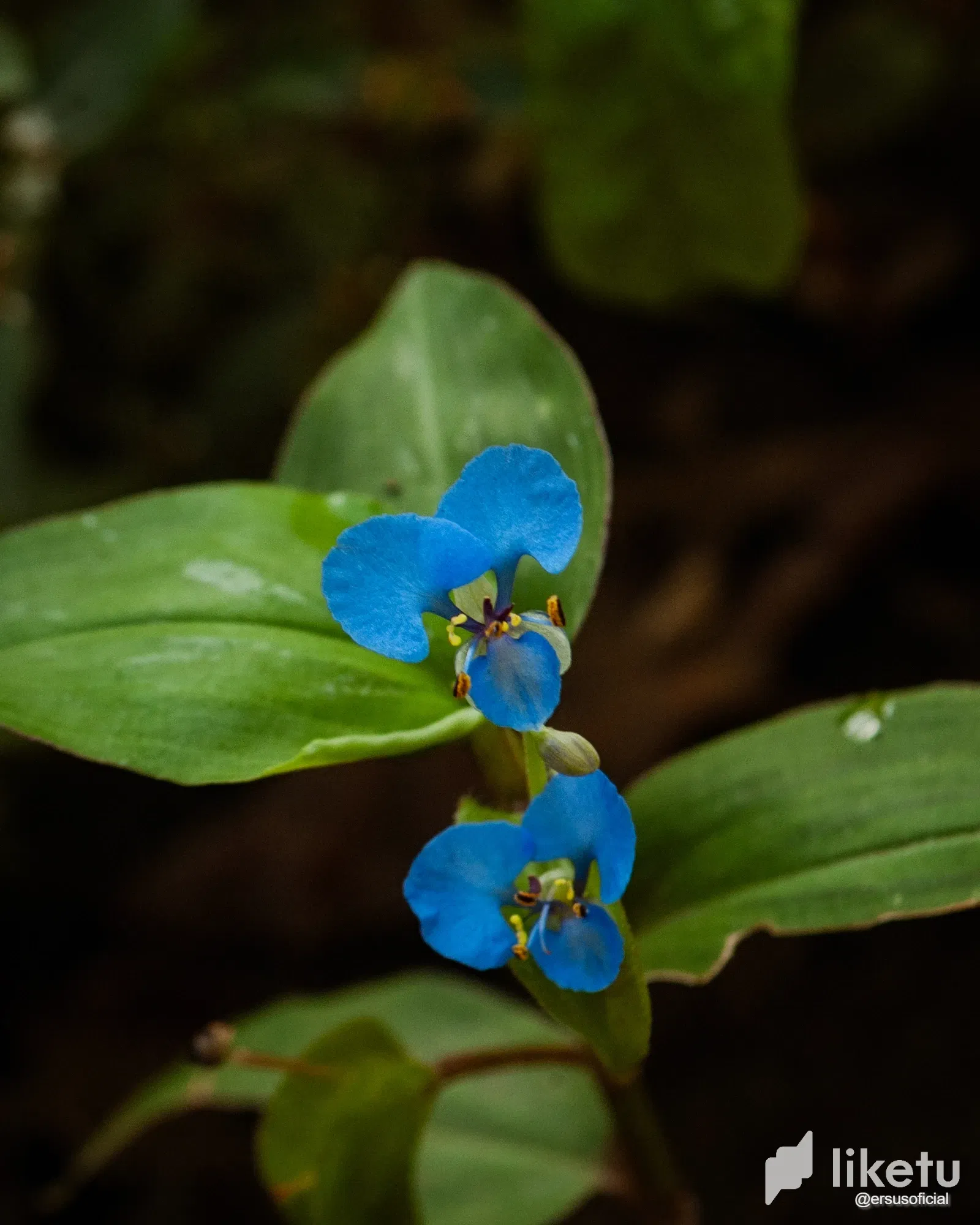 1wRGLqKHHInm1jRh_DSC_3975-1.webp
