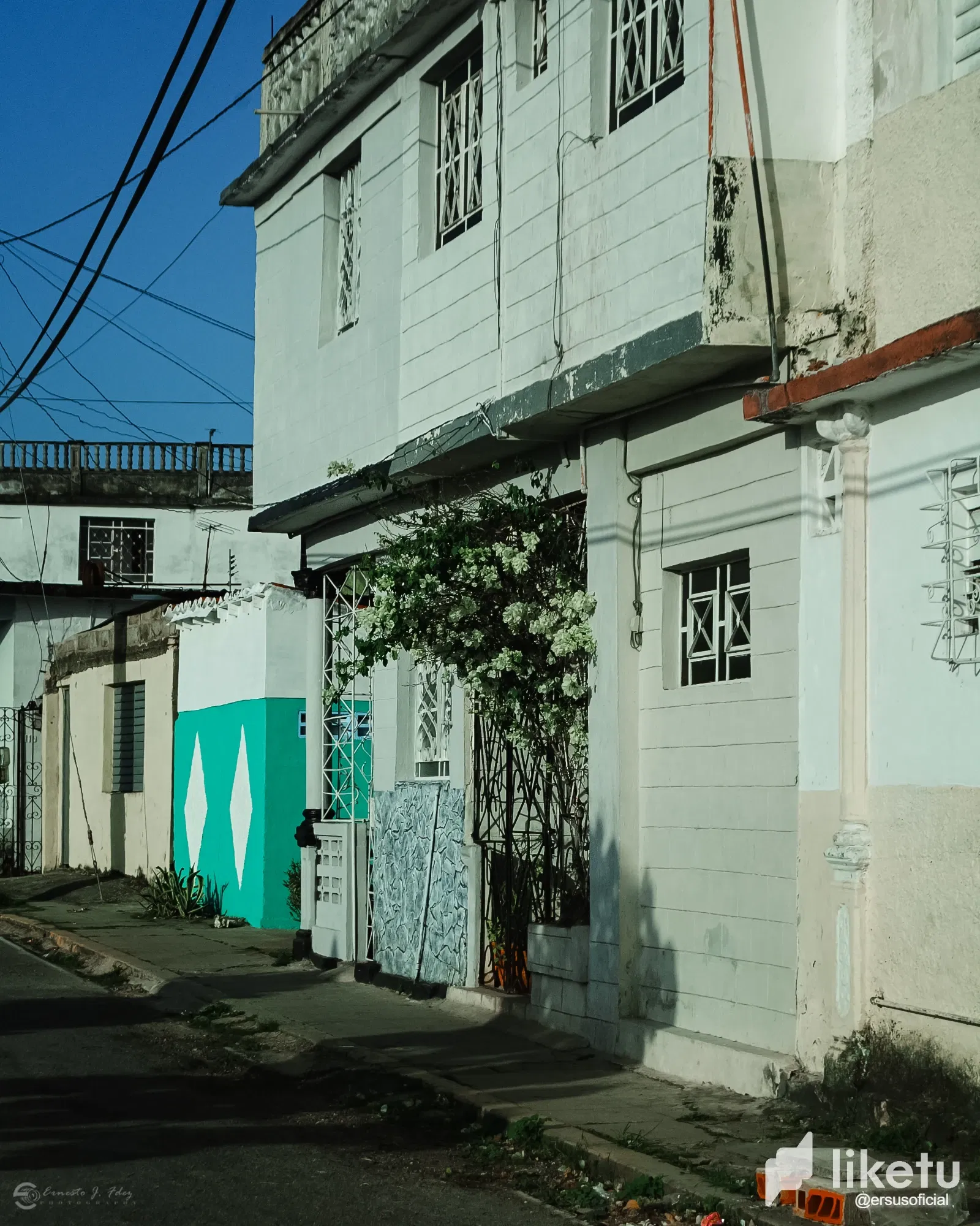 P4CmuIOtN0zWICES_DSC_5717-1.webp