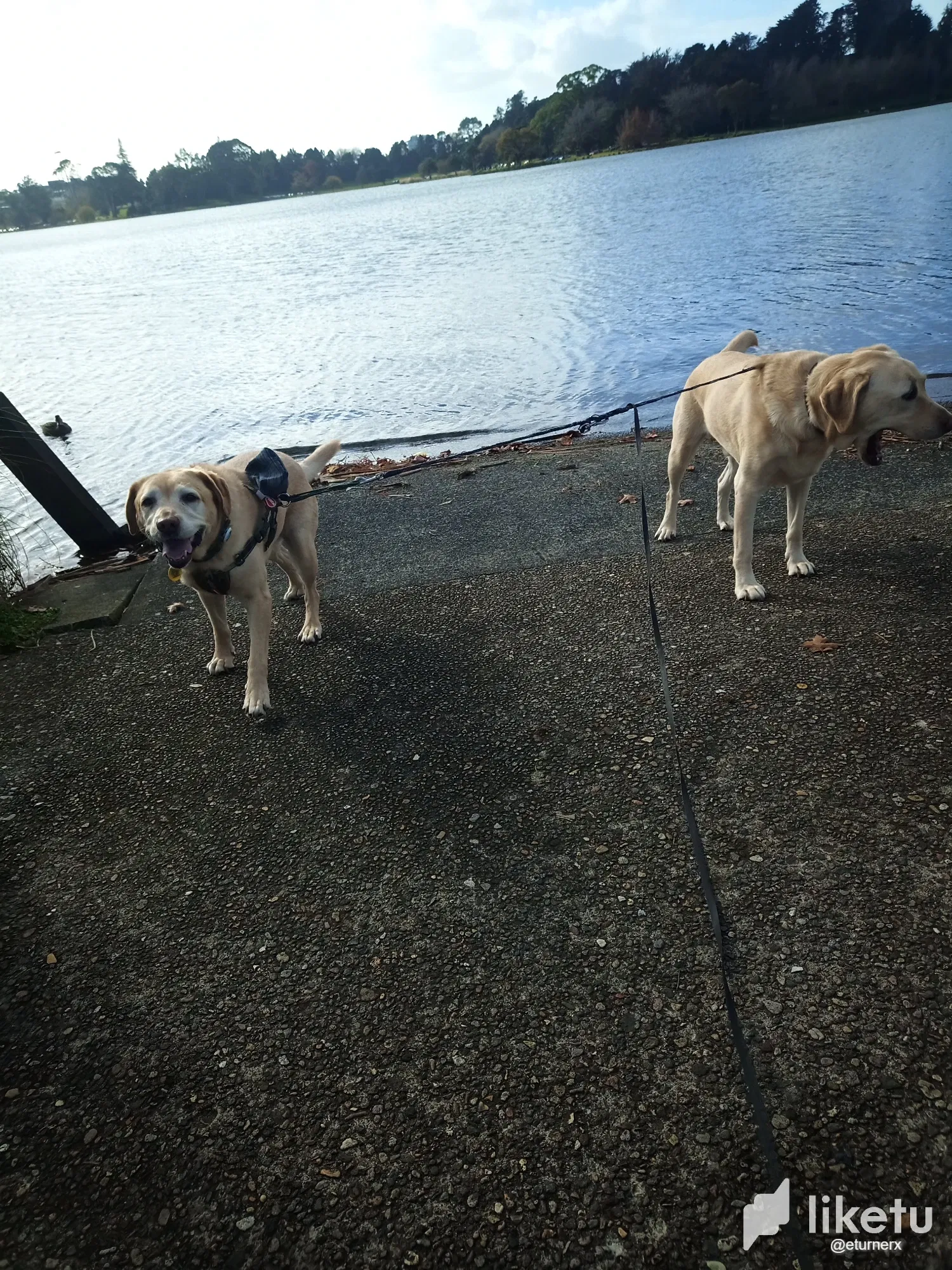 clwsngc6h00mg7hsz1f3sa5w5_IMG_20240530_131332_983.webp